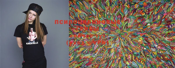 стафф Верхнеуральск