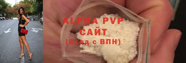 амф Верея