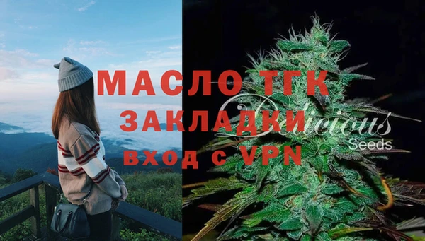 амф Верея
