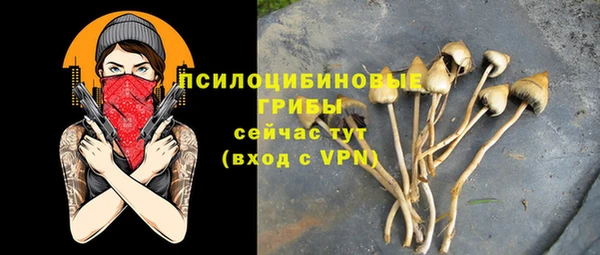 а пвп мука Верхний Тагил